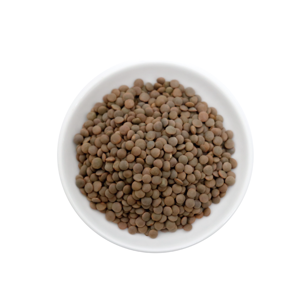 レンズ豆 皮付き 500g Sabut Masoor Masoor Dal Whole