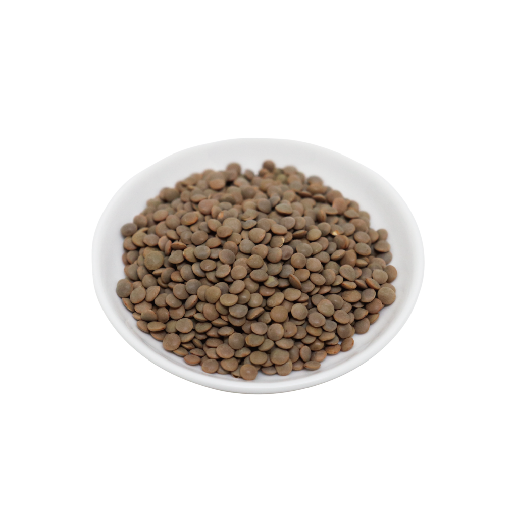 レンズ豆 皮付き 500g Sabut Masoor Masoor Dal Whole