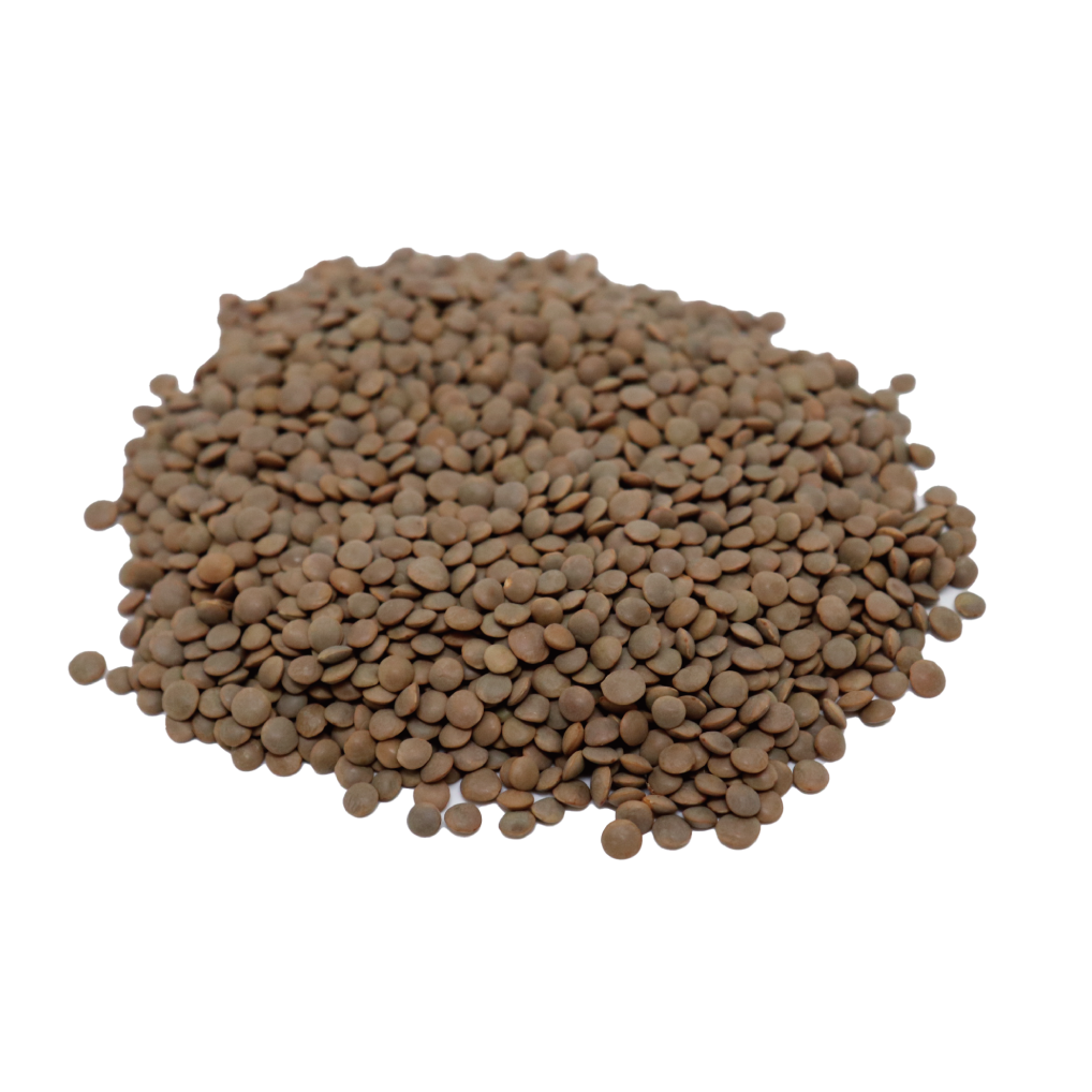 レンズ豆 皮付き 500g Sabut Masoor Masoor Dal Whole
