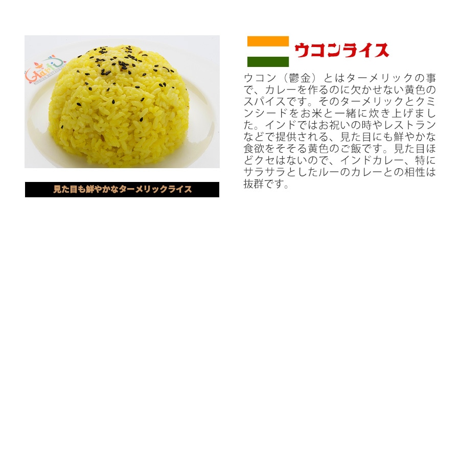 8種類から6品選べるインドカレー・ビリヤニ弁当（おまけつき）冷凍便【即日発送は午前9:30】