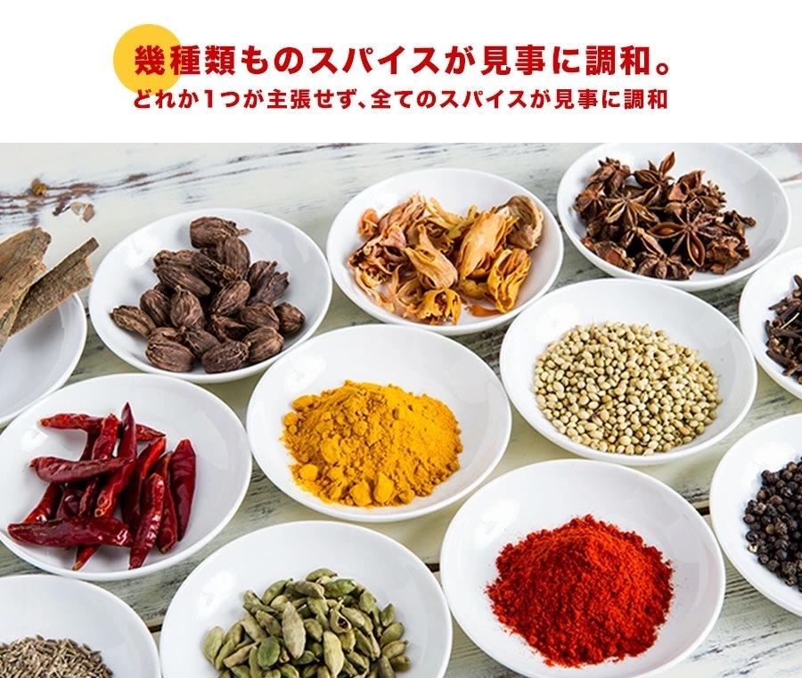 5種類から選べるオリジナルカレーパウダー 400g パケット便 Curry Powder 即日発送は午前9:30