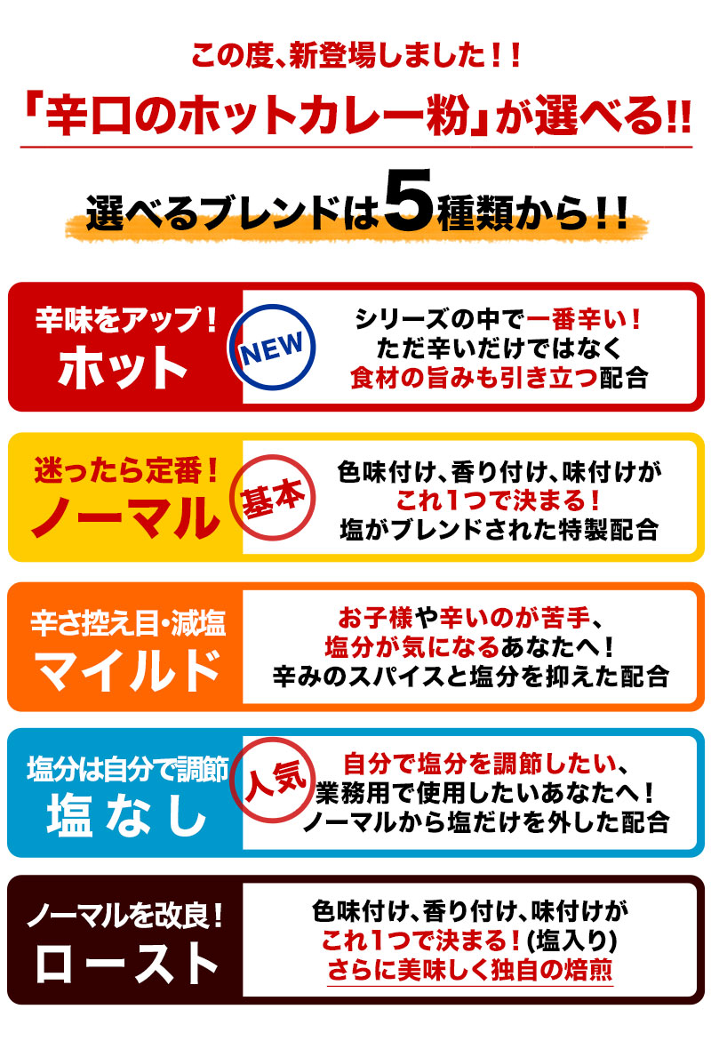 5種類から選べるオリジナルカレーパウダー 400g パケット便 Curry Powder 即日発送は午前9:30