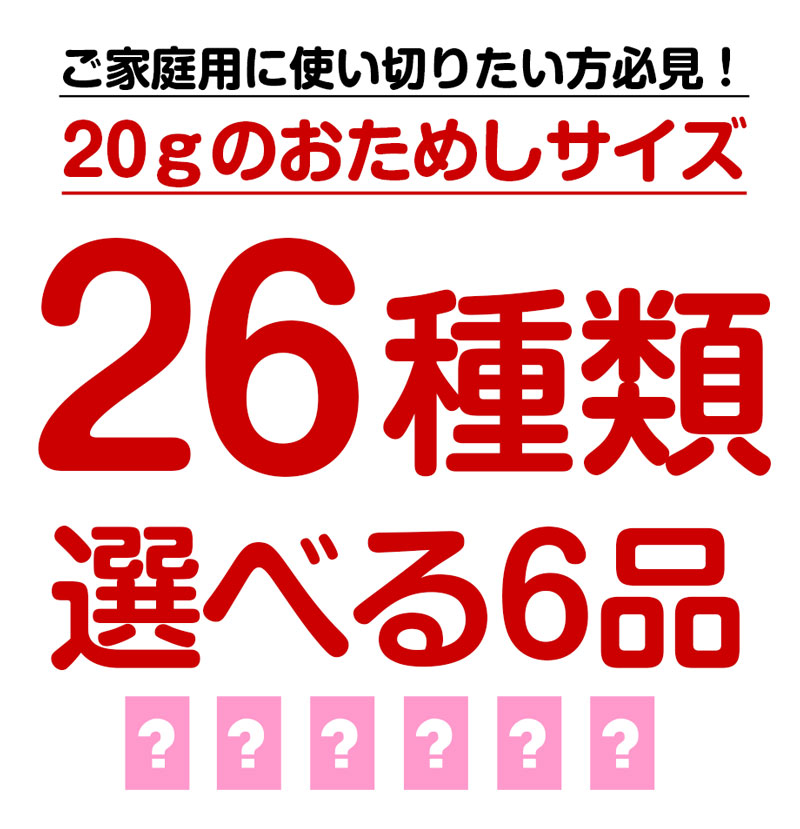 定番スパイス26種類からよりどり6品福袋！ お試しスパイスセット クミンシード,カイエンペッパーパウダー 神戸アールティー