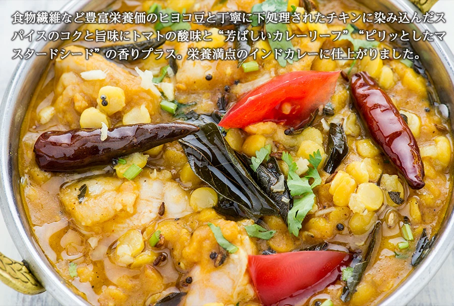 ひよこ豆とチキンのカレー 250g Chana Chicken Curry 