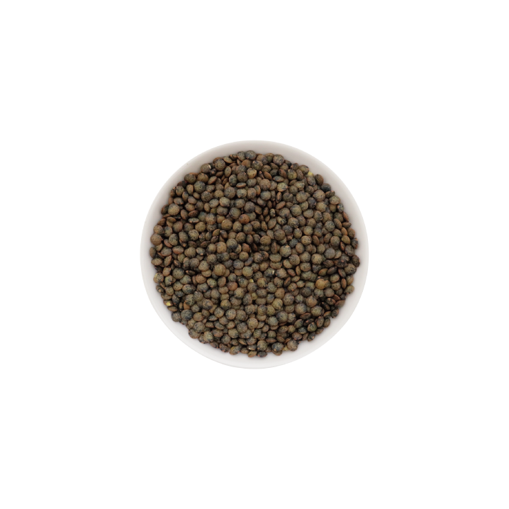 フレンチグリーンレンズ豆 皮付き 500g french green lentils