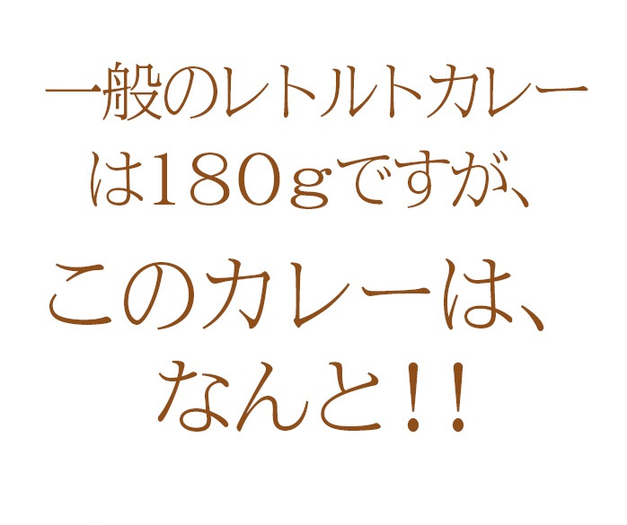 MTR チャナマサラ 300g  MTR Chana Masala　レトルトカレー インドカレー ベジタリアン 神戸アールティー