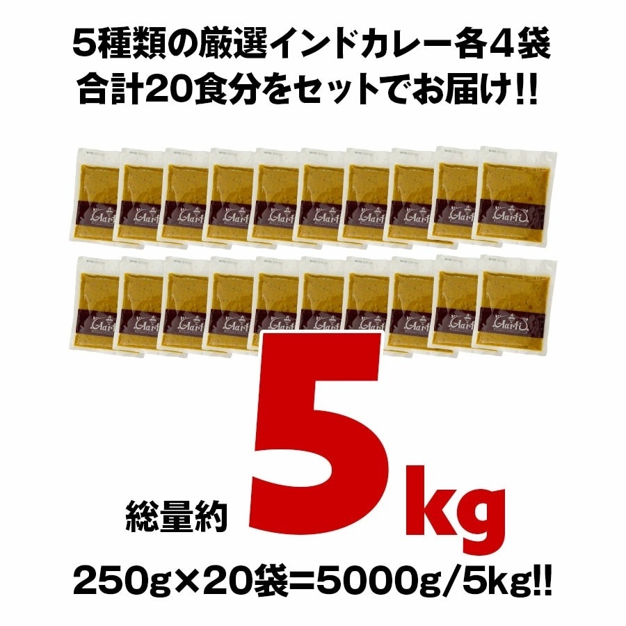 選べるインドカレー 250gx20食 ギガ盛りセット 冷凍便【即日発送は午前9:30】