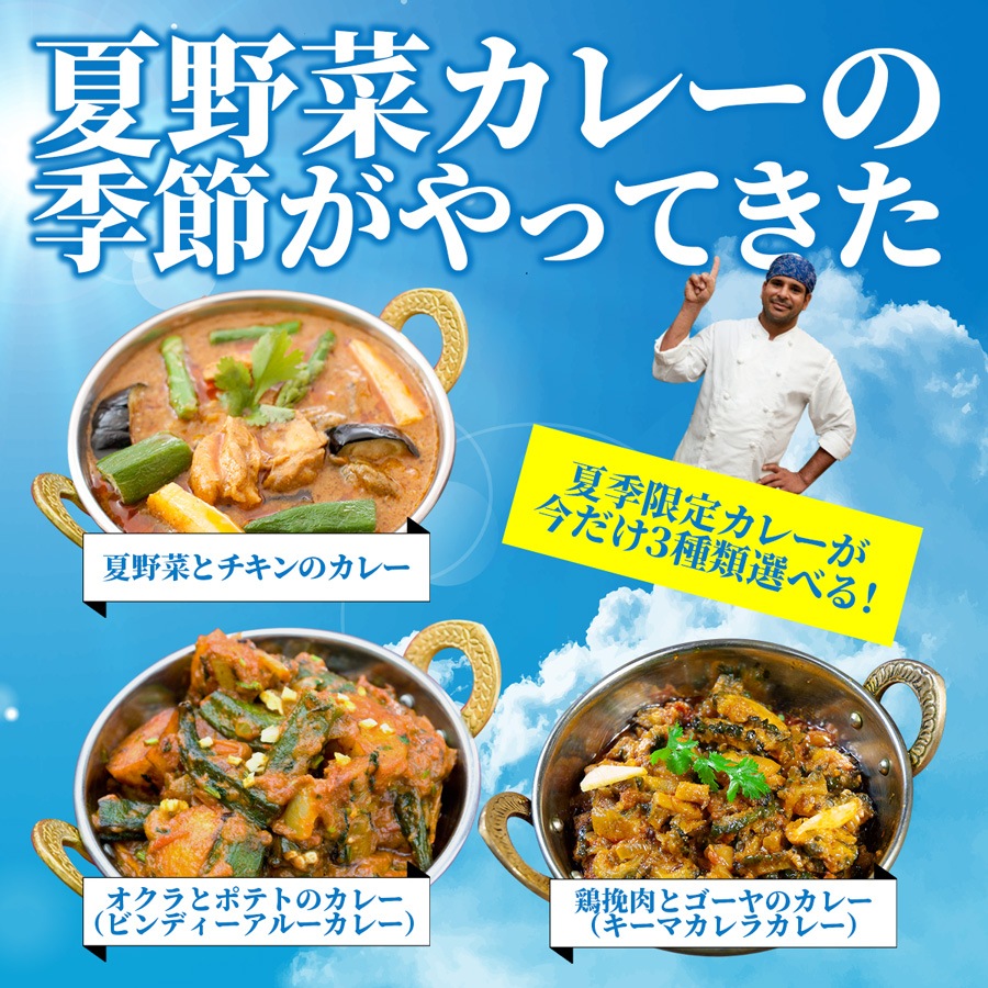 選べるインドカレー 250gx20食 ギガ盛りセット 冷凍便【即日発送は午前9:30】