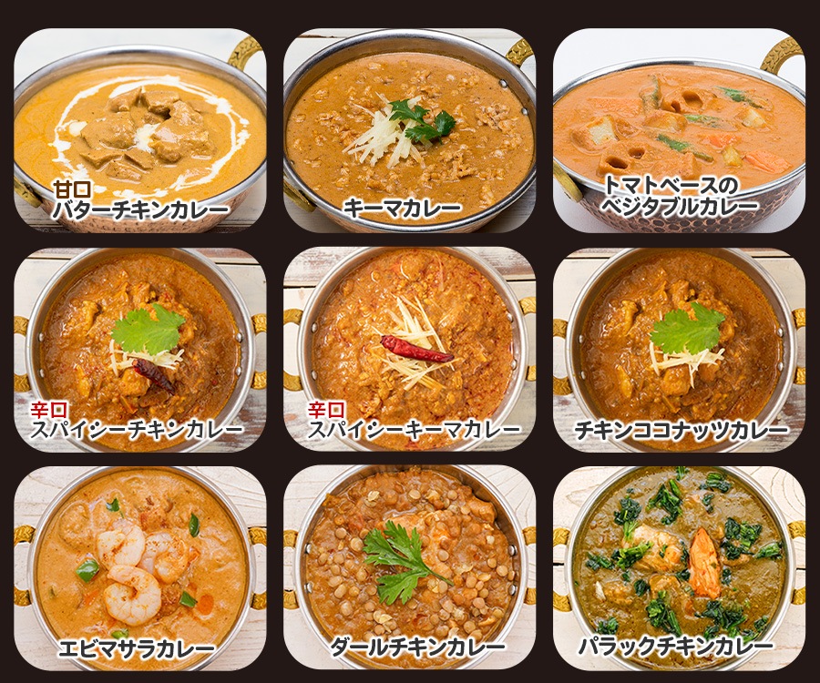 レトルトカレー ９種類から選べる９品セット ギフトBOX入り 180g×9箱  パッケージ版【即日発送は午前9時】