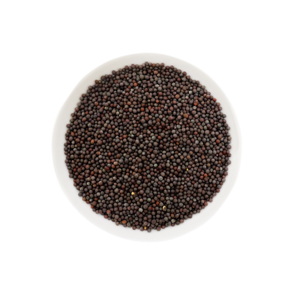 ブラウンマスタードシード 100g Brown Mustard Seeds  メール便送料無料