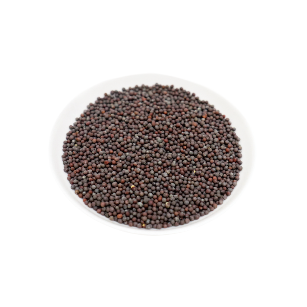 ブラウンマスタードシード 100g Brown Mustard Seeds  メール便送料無料