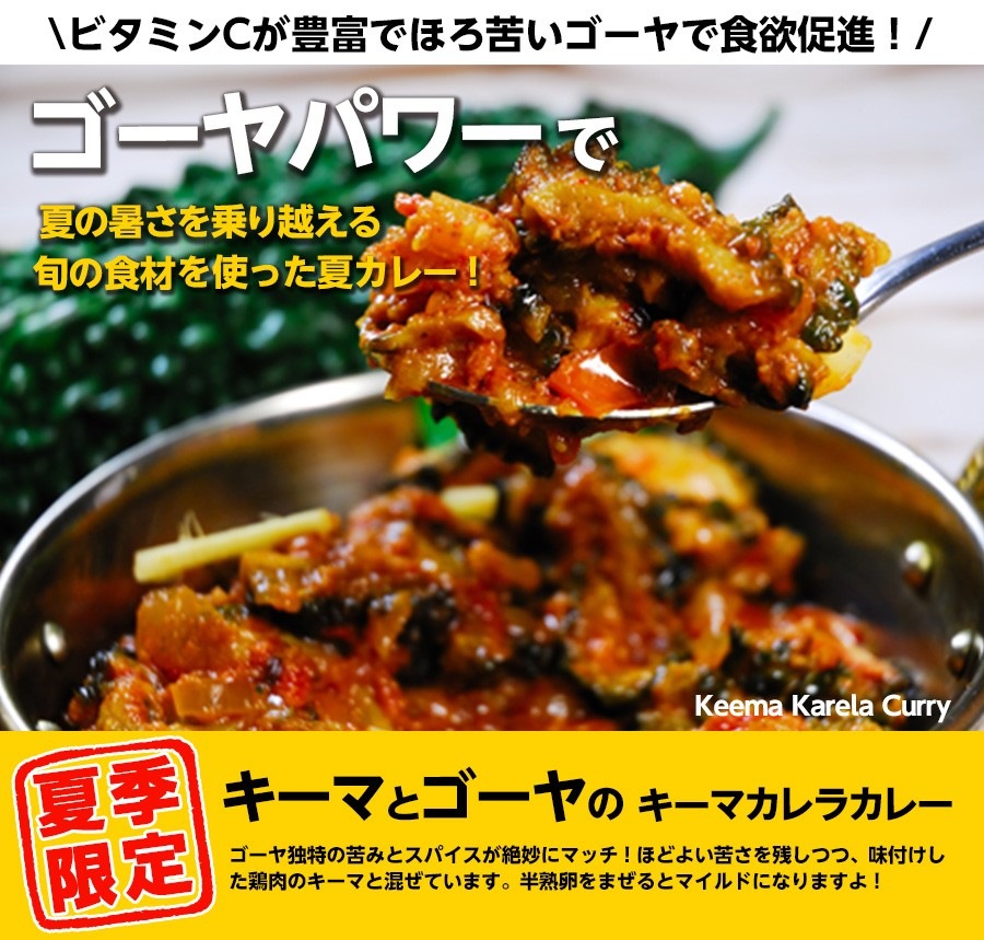 夏季限定 キーマカレラカレー170g ゴーヤのキーマカレー 冷凍便 