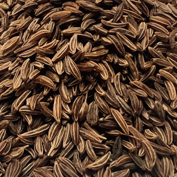 キャラウェイシード 1kg Caraway Seeds 