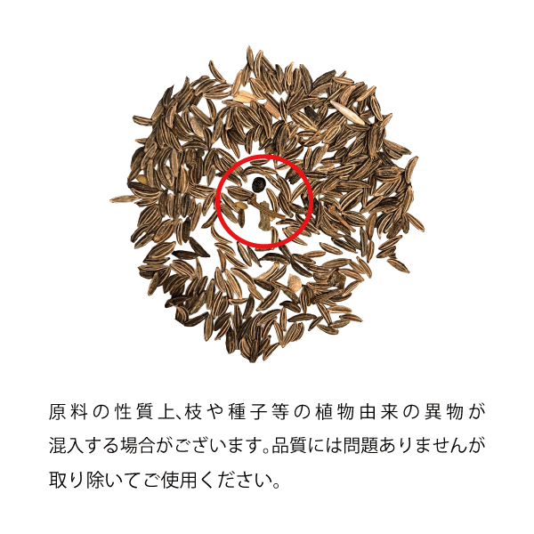 キャラウェイシード 1kg Caraway Seeds 