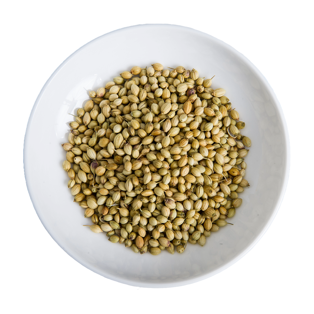 コリアンダーシード グリーン インド産 500g Coriander Seeds Green India【即日発送は午前9:30】