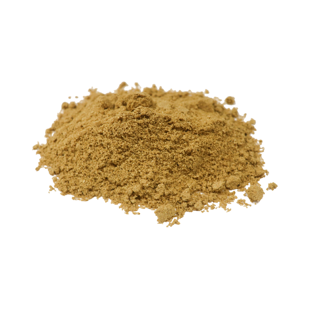 コリアンダーパウダー グリーン インド産 100g Coriandar Powder メール便