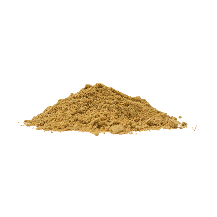 コリアンダーパウダー グリーン インド産 500g Coriandar Powder メール便