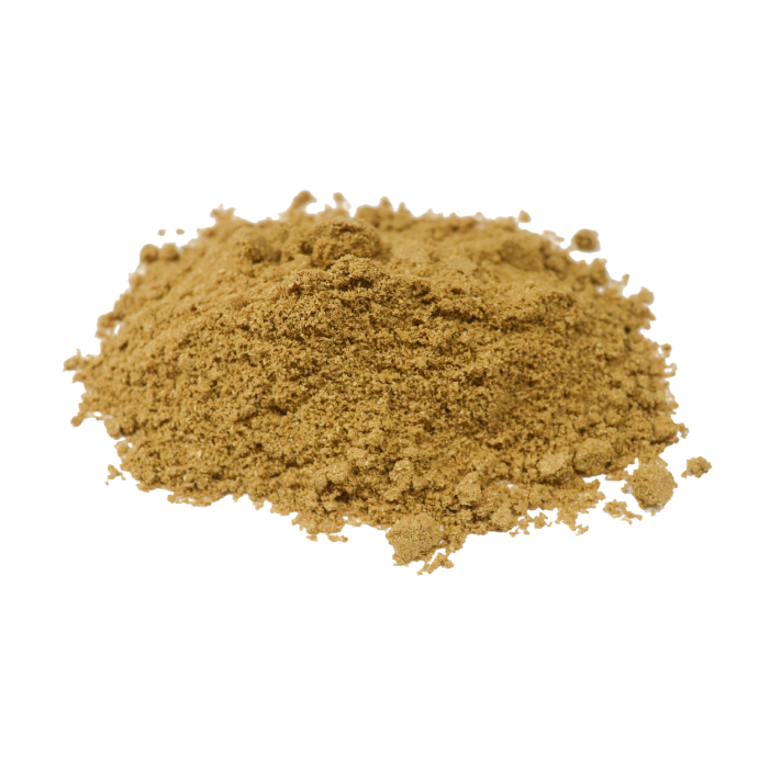 コリアンダーパウダー グリーン インド産 500g Coriandar Powder メール便