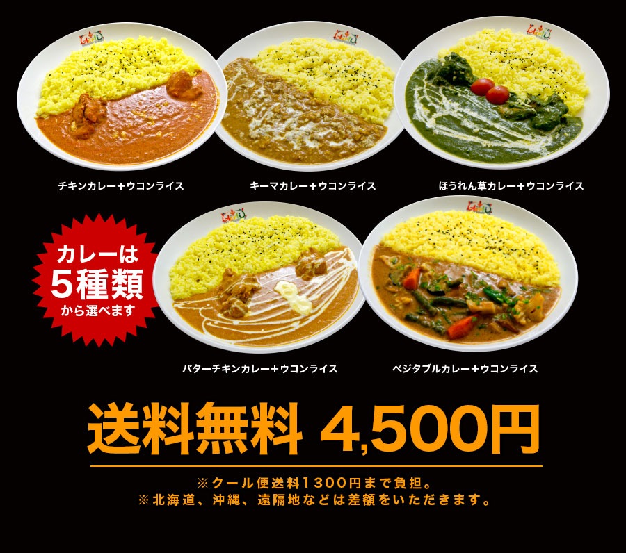 よりどり6食 インドカレーライスセット カレー6品＋プレーンナンまたはターメリックライス6品