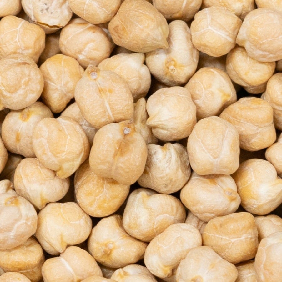 ひよこ豆 ひよこ豆 9mm 500g アメリカ産 Garbanzo Beans【即日発送は午前9:30