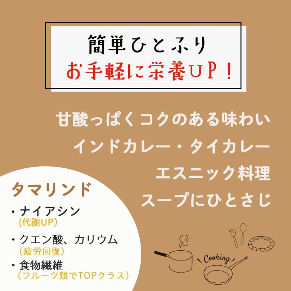 タマリンドパウダー 100g Tamarind Powder メール便送料無料