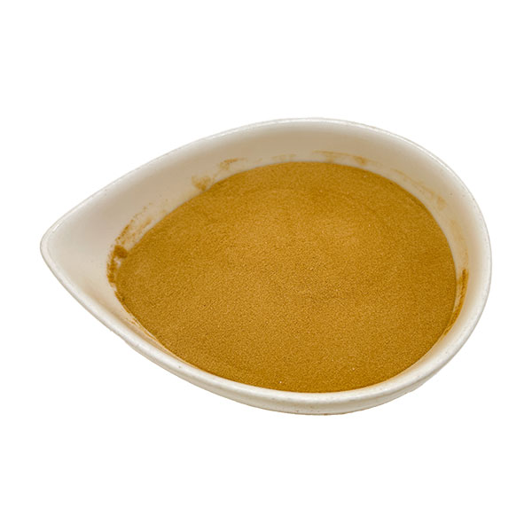 タマリンドパウダー 100g Tamarind Powder メール便送料無料