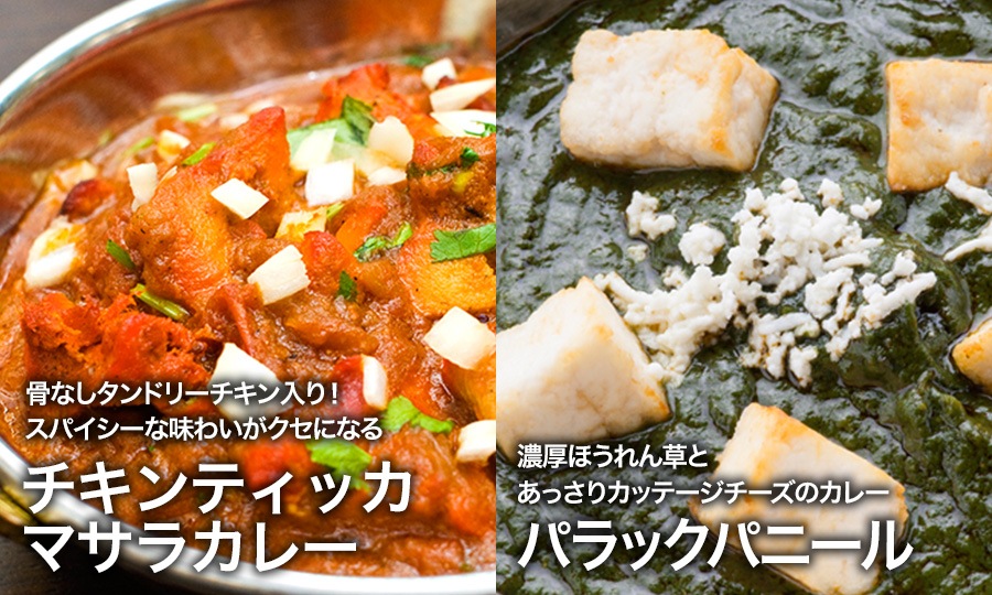 ナンカレーセットB（カレー250g×2袋、ナン2、ライス1） 冷凍便【即日発送は午前9:30】