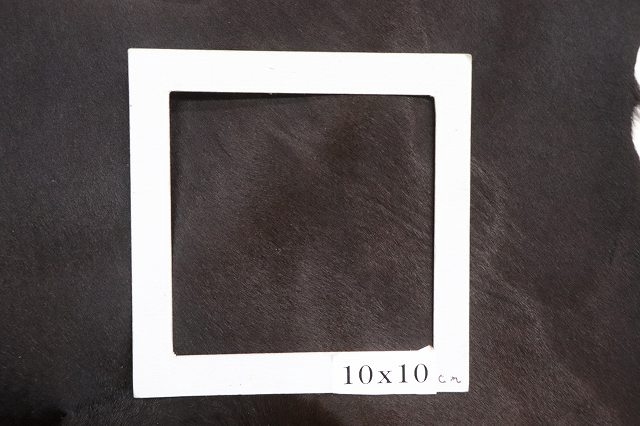 Oneץ饤ʡۥϥ饳ݡȡ֥饦