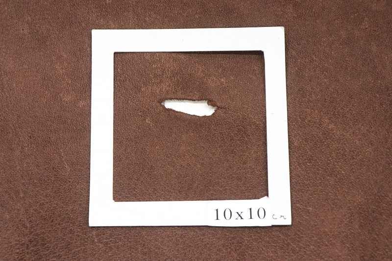 ����ڡ��㥹�ꡡ�������֥饦��