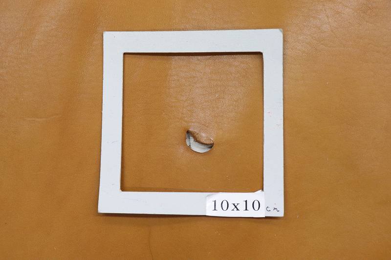 ���̥ᡡ���˥�󡡥�����