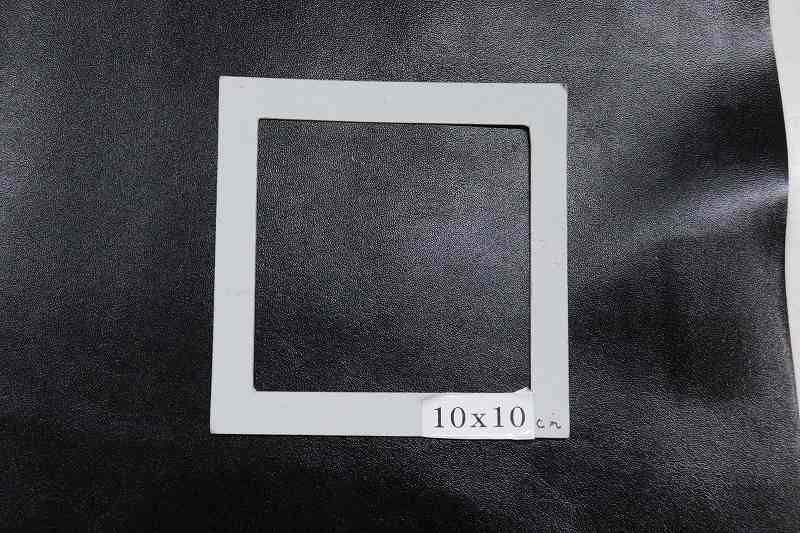 �����ס��ʥåѥ쥶��������ݡ���(Conceria Enterprise)����