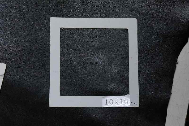 �����ס��ʥåѥ쥶��������ݡ���(Conceria Enterprise)����