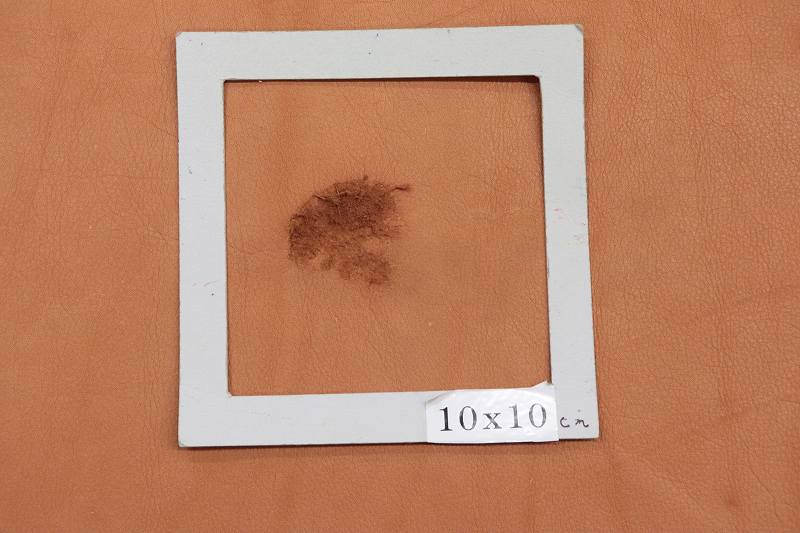 ���ס����եȡ��饤�ȥ��