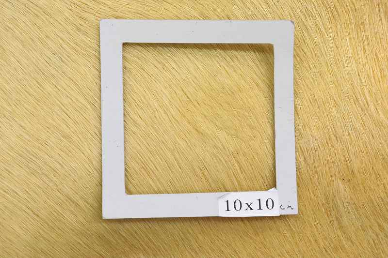 ���դ��ڳס���������