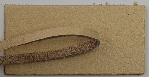 ����ե���פҤ�22��!