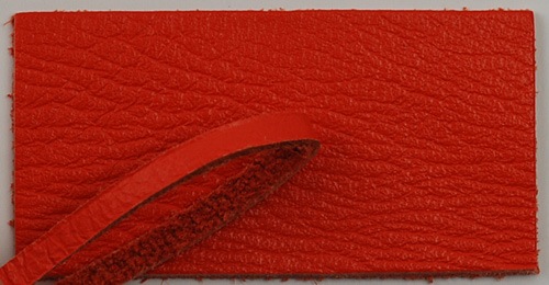 ����ե���פҤ�22��!