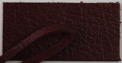 ����ե���פҤ�22��!