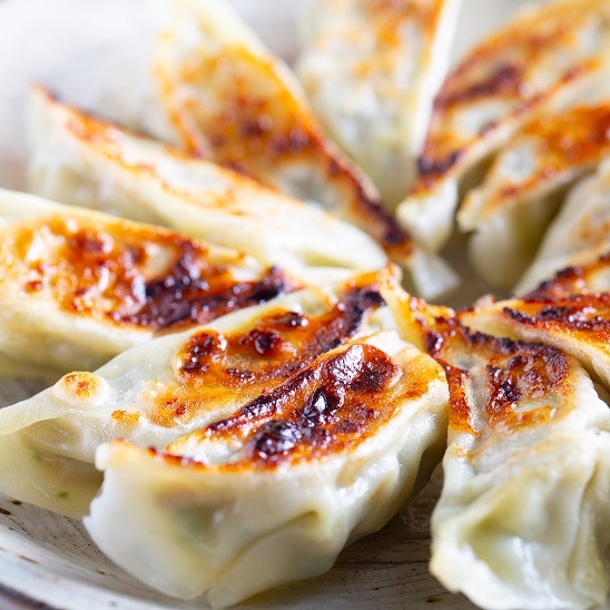 鶏っこ餃子１２個入×１２箱セット