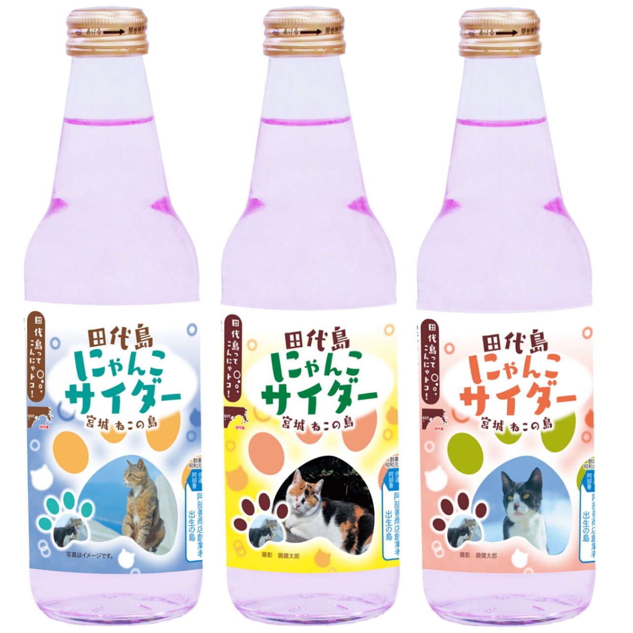 ROSSI D'ASIAGO アザラシ 100ml 40度/未開封 清涼飲料水】田代島にゃんこサイダー 24本 | 清涼飲料水 | 阿部善商店