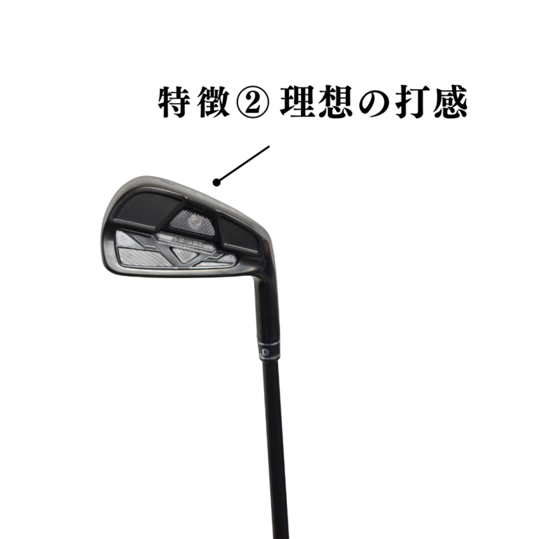 “飛び系”超高性能 [CBアイアン] P~5番セット