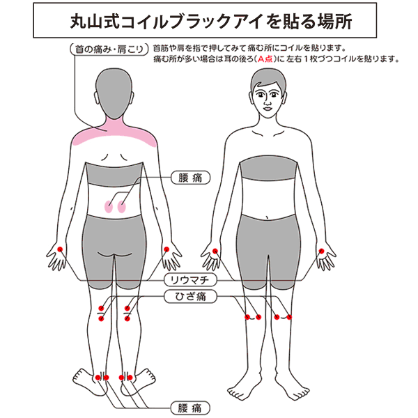 ABILES ブラックアイ（丸山式コイル） 6個セット（貼り替えシール30枚付き）
