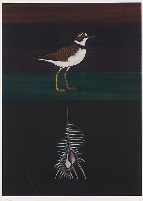 加山又造 千鳥と骨貝 メゾチント
