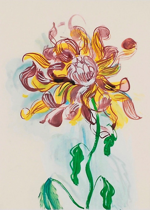 �饦�롦�ǥ�ե����֥��ꥢ��