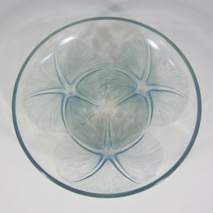 ��͡����å����ֻ���ȭ��VOLUBILIS���ġˡ�