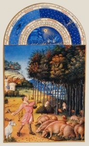 ���֡��뷻���������֡��֣�����ɥ󥰥����Ȥ��ˡ�