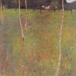 �������ա������ȡ�������