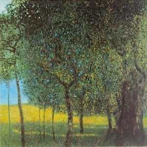 �������ա������ȡ��ֲ̼����