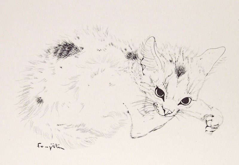 ƣ�Ļ̼��������ǭ��VI��