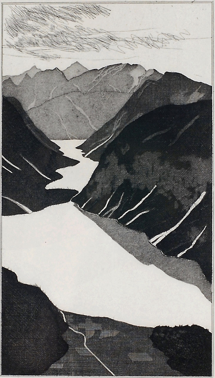 デイヴィッド・ホックニー 「湖（めっけ鳥）」 | | アトリエ・ブランカ