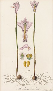 J������󡡡֥���ȥ��������֥�ܡ�����